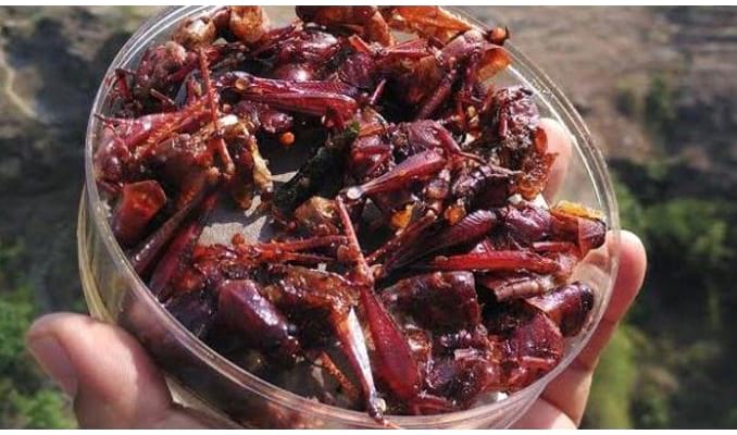 Makanan Khas Jogja Makanan Makanan Khas Jogja Makanan