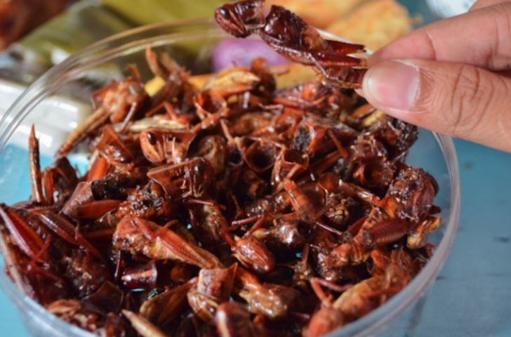 10 Makanan Khas Yogyakarta Yang Paling Istimewa Makanan   10 Makanan Khas Yogyakarta Yang Paling Istimewa Makanan