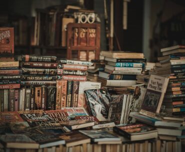 pile of assorted novel books