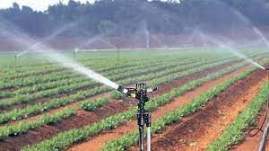 Sprinkler Irrigation System In Kenya