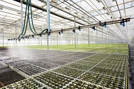 Water Irrigation System For Greenhouse