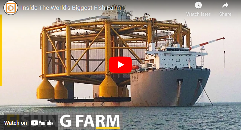 Biggest Fish Farming Companies in The World
