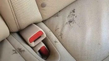 getting grease stain out of car seats｜TikTok Search