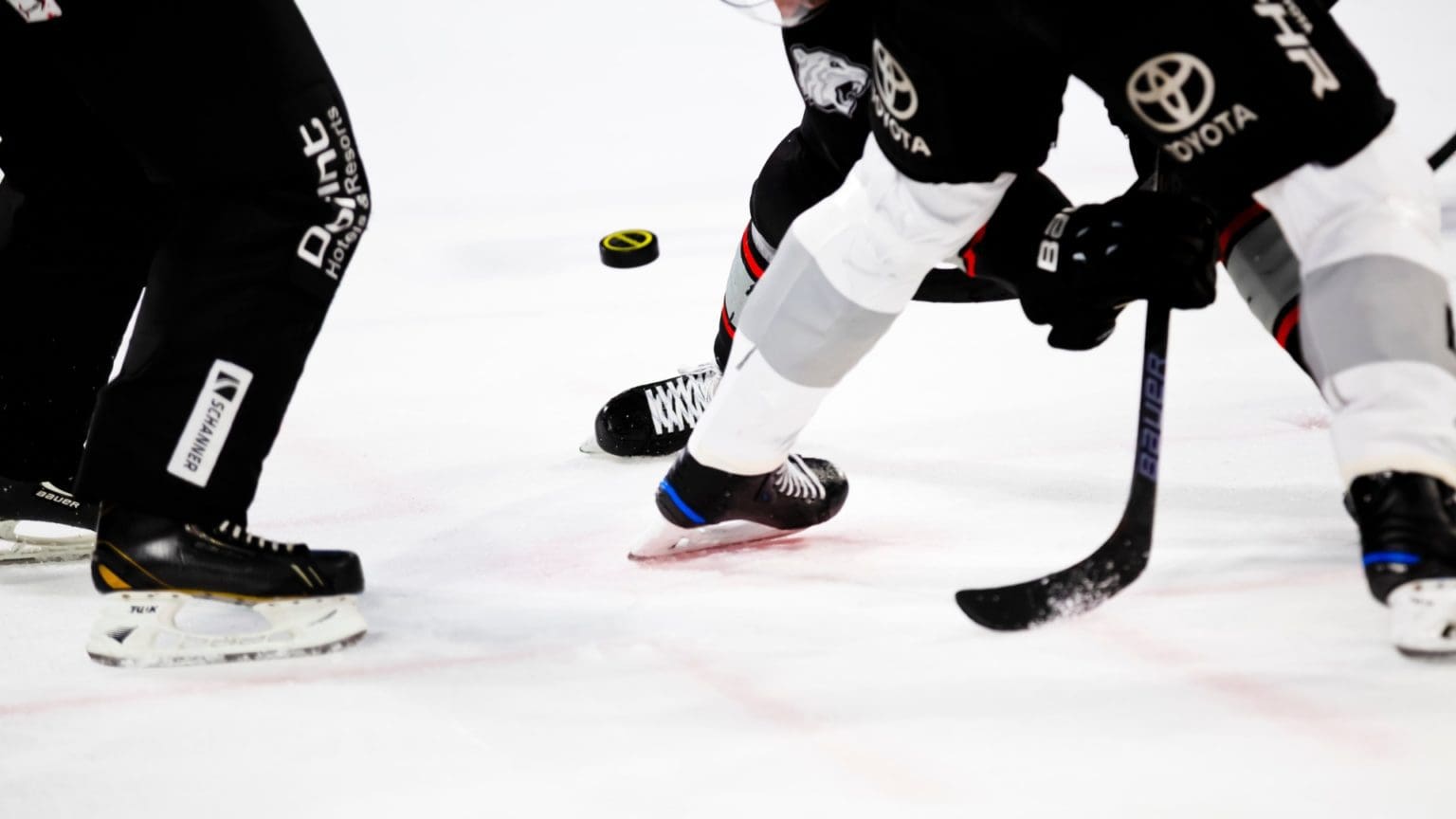 British Ice Hockey Latest News, Features, Fixtures & Results