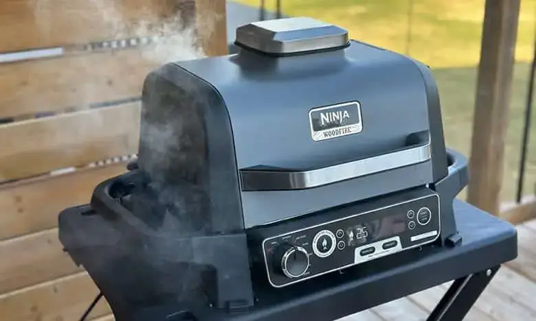 Ninja Woodfire Grill Smoking On Stand Ninja Woodfire Grill