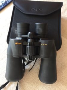 7 Best Beach Binoculars for Whale 