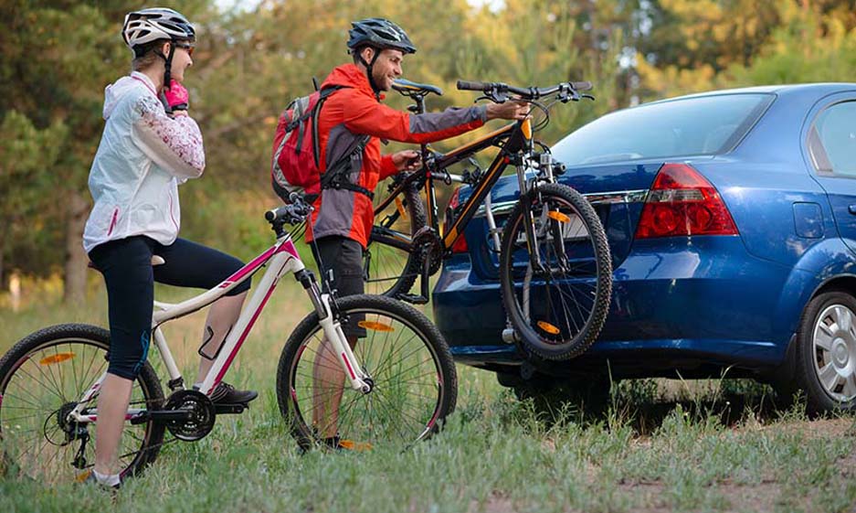 bicycles for larger ladies