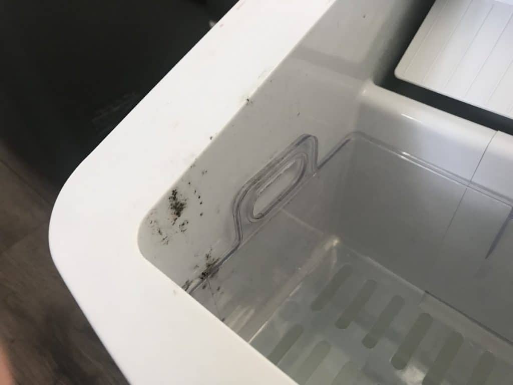 Mold Growing in a Portable Ice Maker