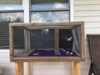 Catio window box for sale hotsell