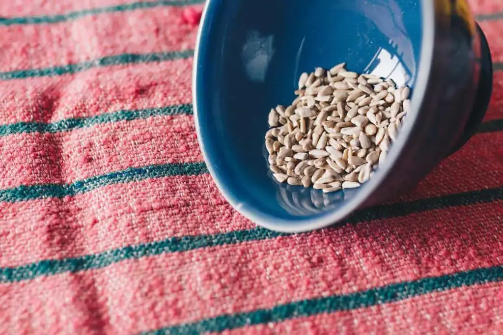 Sunflower seeds are healthy, and have a lot of fats that your body needs.
