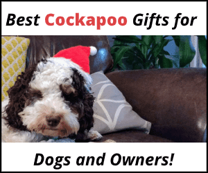 personalised cockapoo gifts