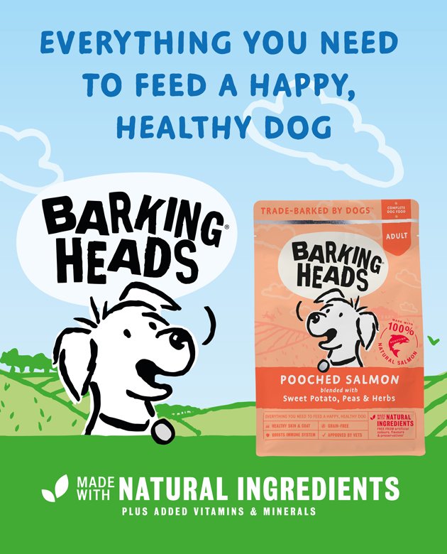 cockapoo sensitive stomach