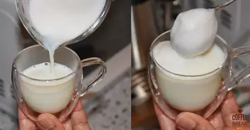 Does skim milk foam better than whole milk? – D'AMICO COFFEE