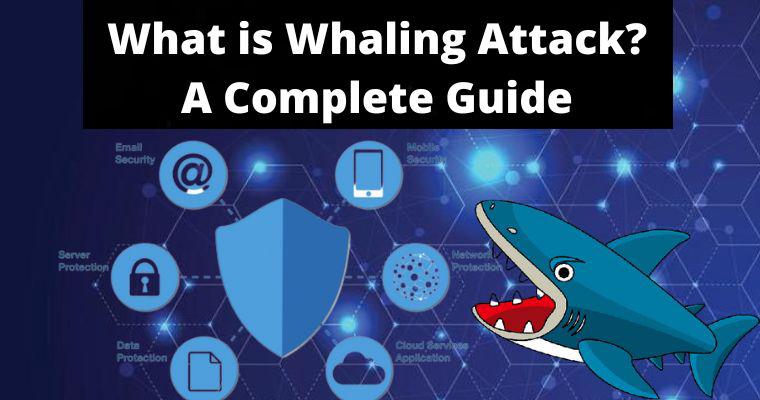 what is whaling attack in cybersecurity