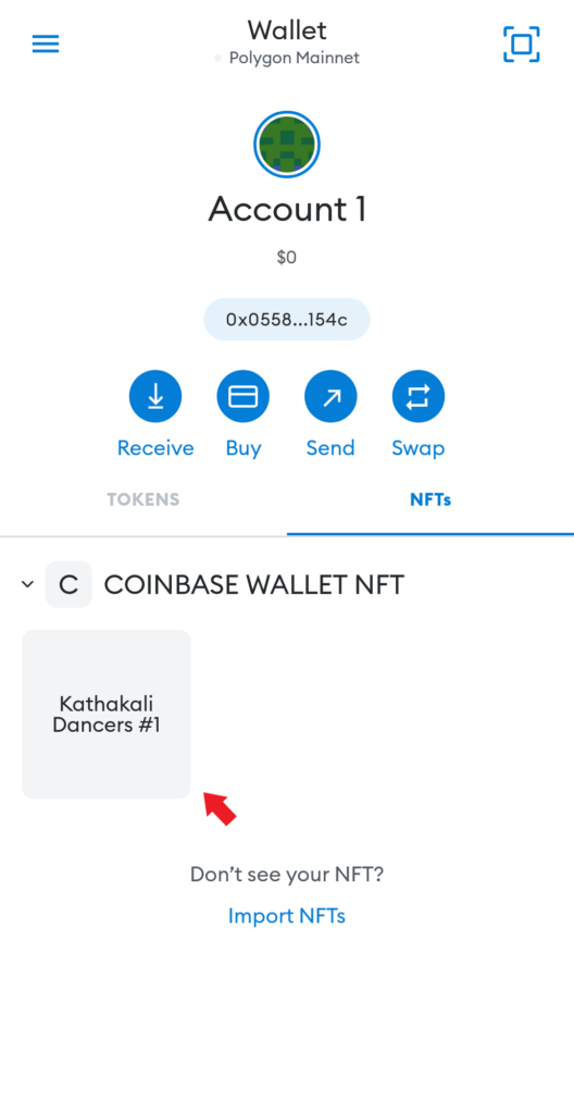 How to View NFTs on MetaMask