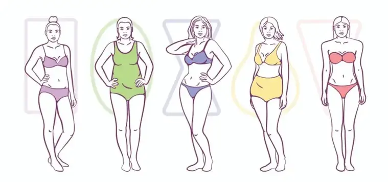 formas de cuerpo de mujer