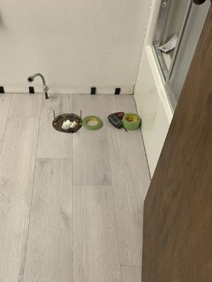 A Toilet To Install Laminate Flooring, How Do I Cut Laminate Flooring Around A Toilet