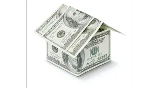 Domestications Bedding - Domestications Bedding & Home Living