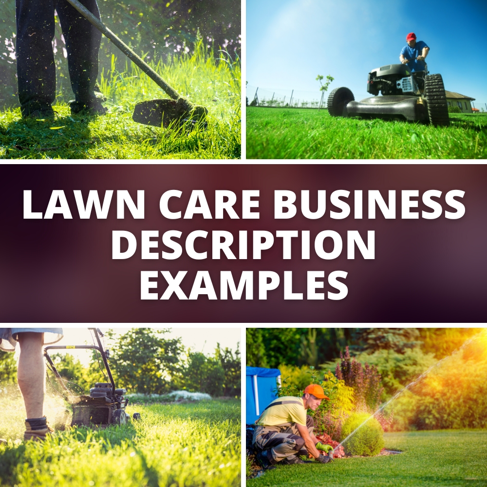 Lawn mowing business hot sale