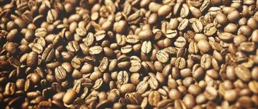 Different Types Of Coffee Beans Arabica Robusta Liberica