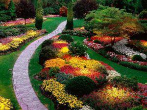 Jardines Verticales, una opción atractiva y ecológica - Notiagro