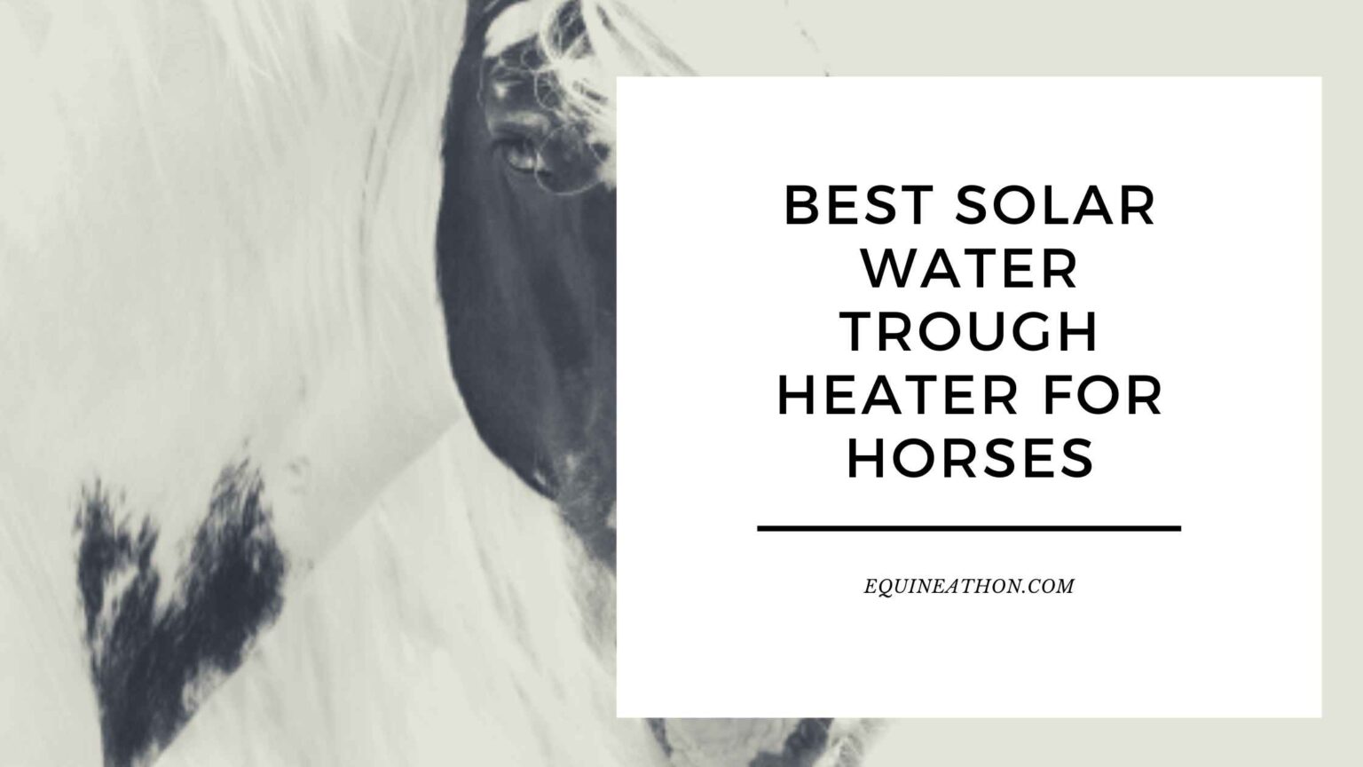 The Best Solar Water Trough Heater for Horses: Harnessing the Power of the Sun – equineathon.com