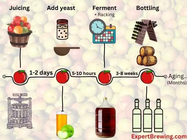 Cider Fermentation Timeline? (How Long Does It Take?)