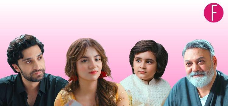 Meem Se Mohabbat: Opposites Attract, YES… And The Age-Old Formula Is Working Its Charm on Roshi and Talha!