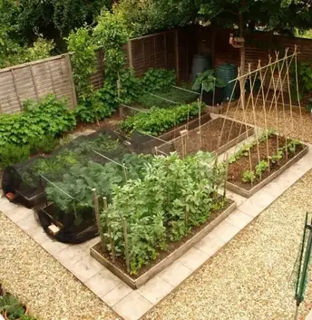 Free Vegetable Garden Layout Plans And, How To Plot A Vegetable Garden Layout