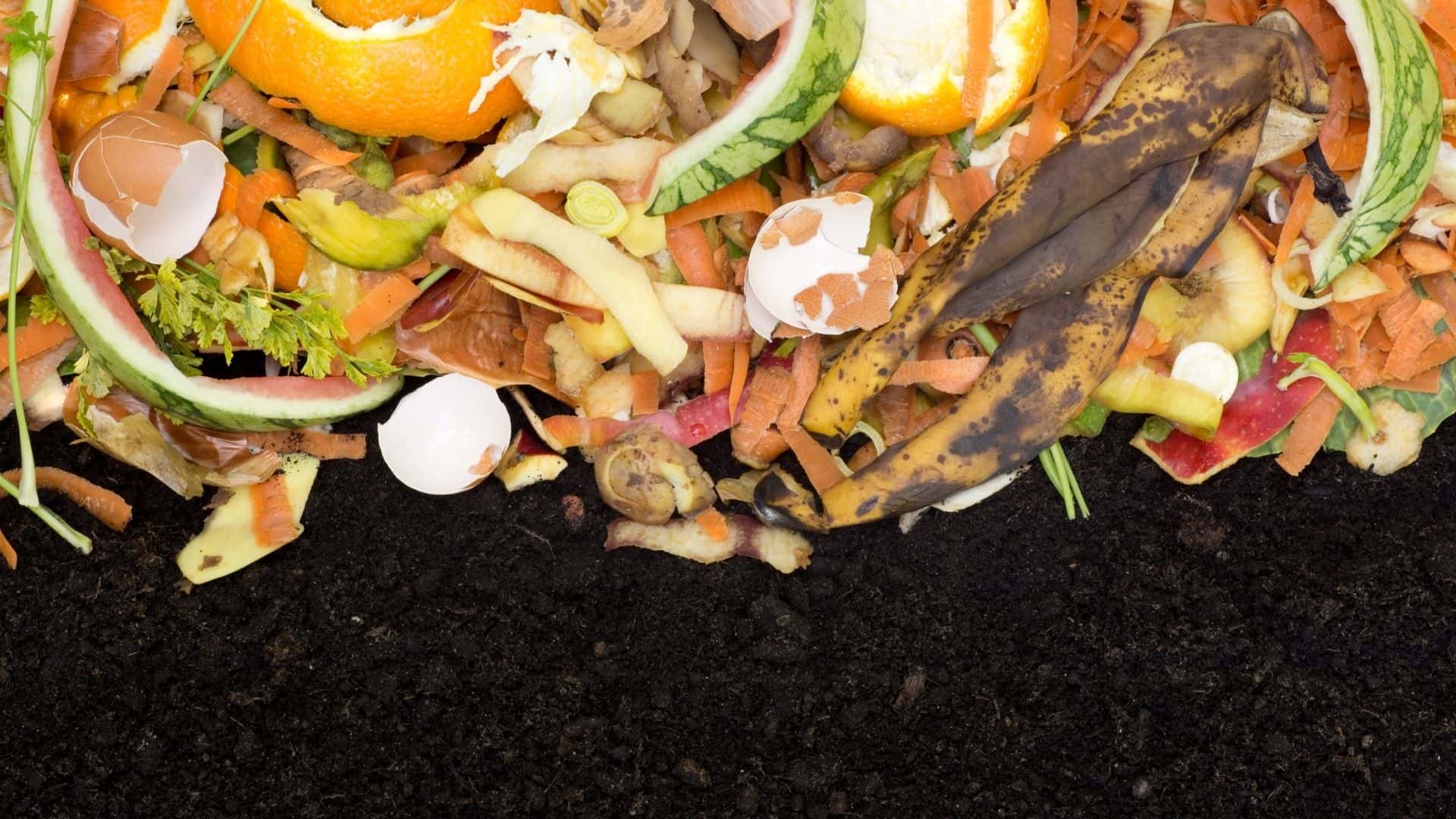 How to Make Organic Compost Fertilizer at Home Guide