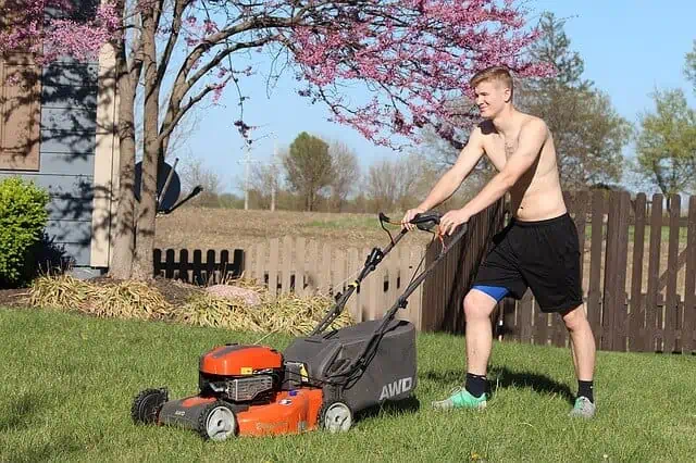 how to mow grass high temperature summer hot