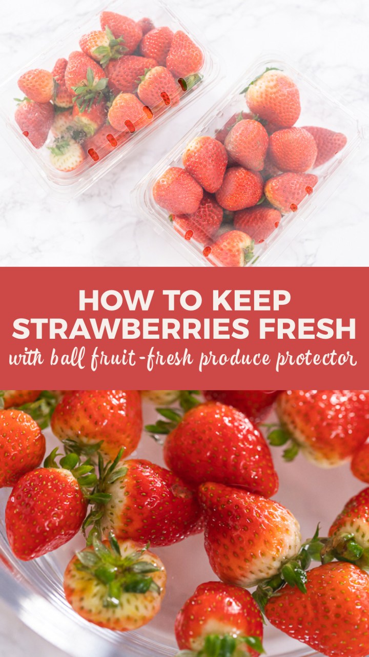 Keep Strawberries Fresh and Delicious with Plant Power