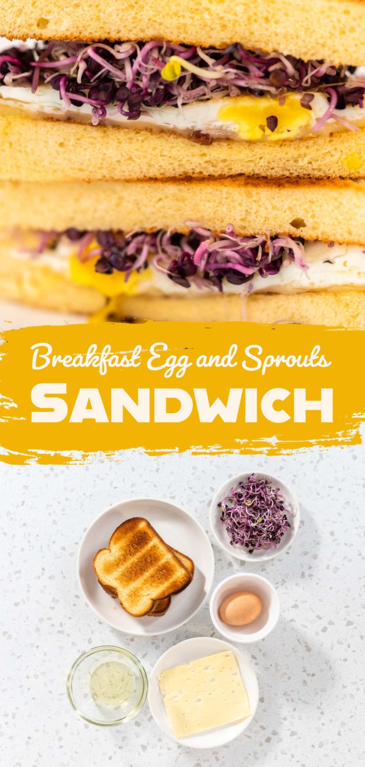 Ham, Egg & Sprouts Breakfast Sandwich