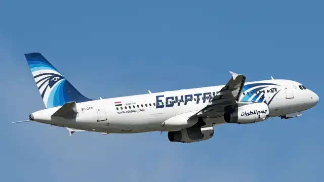 MS804