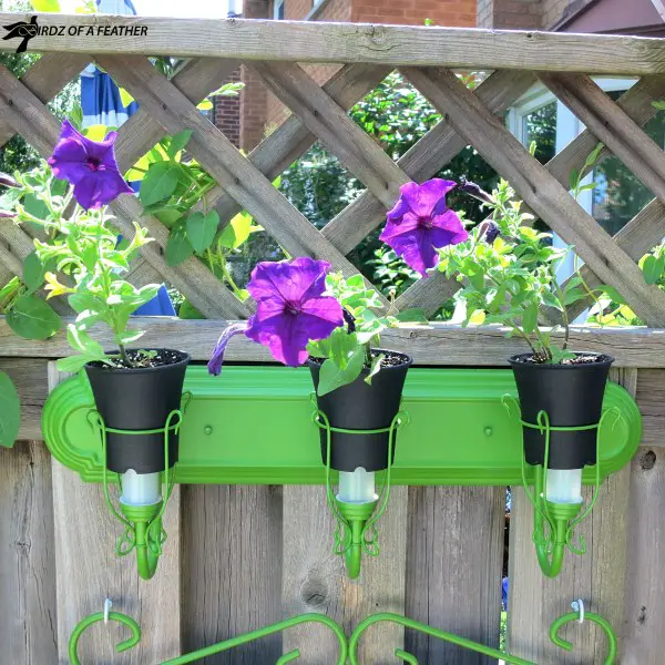 21 Best Garden Ideas 8 ngcb1
