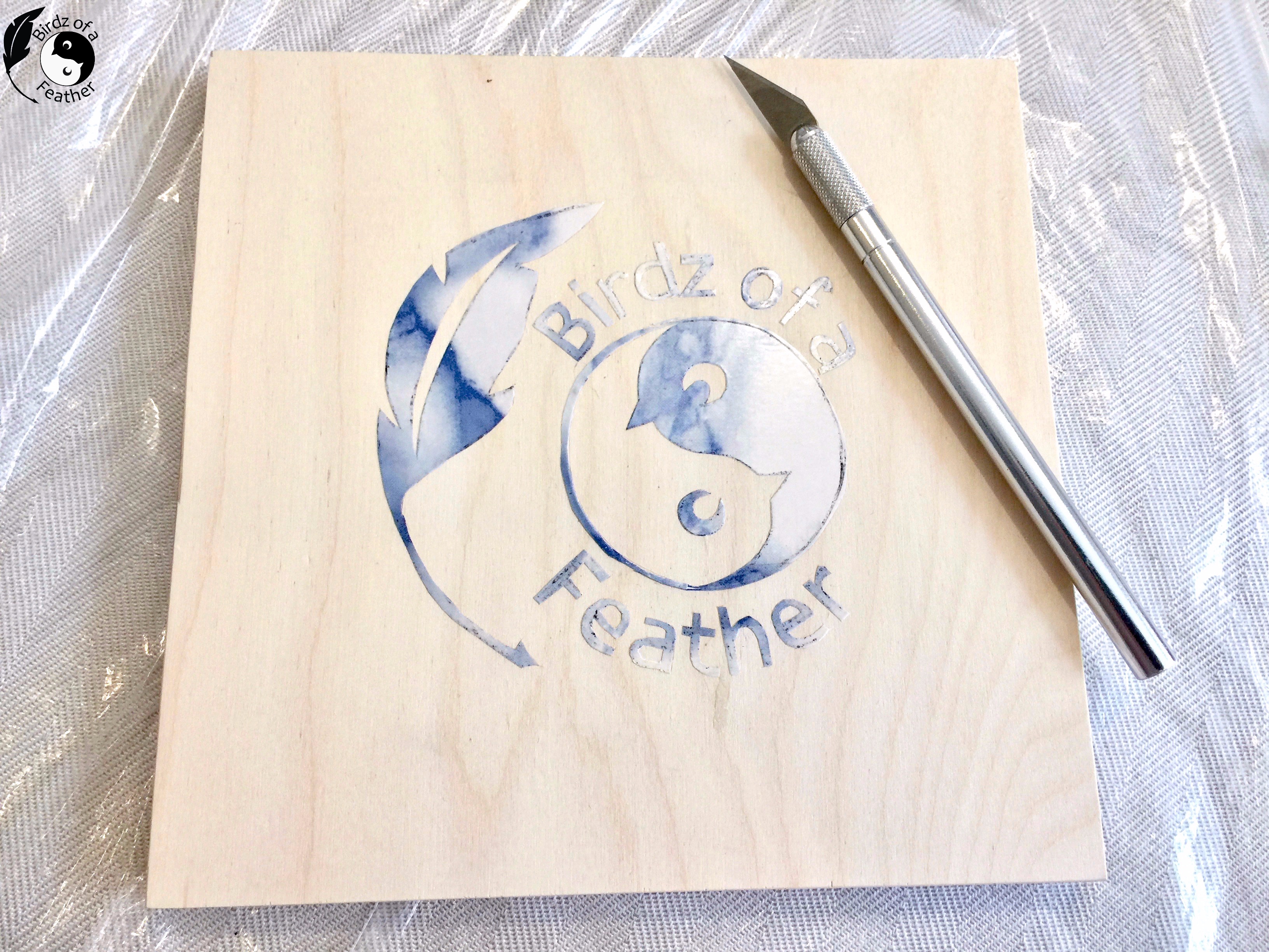 Wood Burning with Ammonium Chloride A Guide Birdz of a Feather
