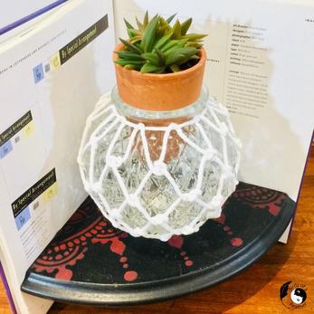 Japanese Glass Float DIY Succulent Display - Tie One On! - Birdz of a  Feather