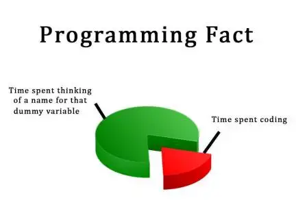 Code Variable Name Memes