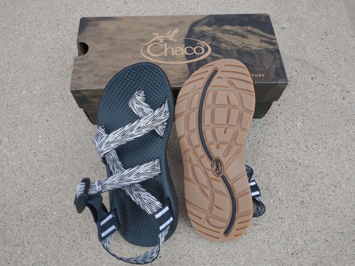 Dog clearance chacos sandals