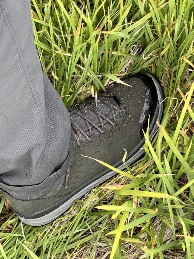 Lowa discount rex gtx