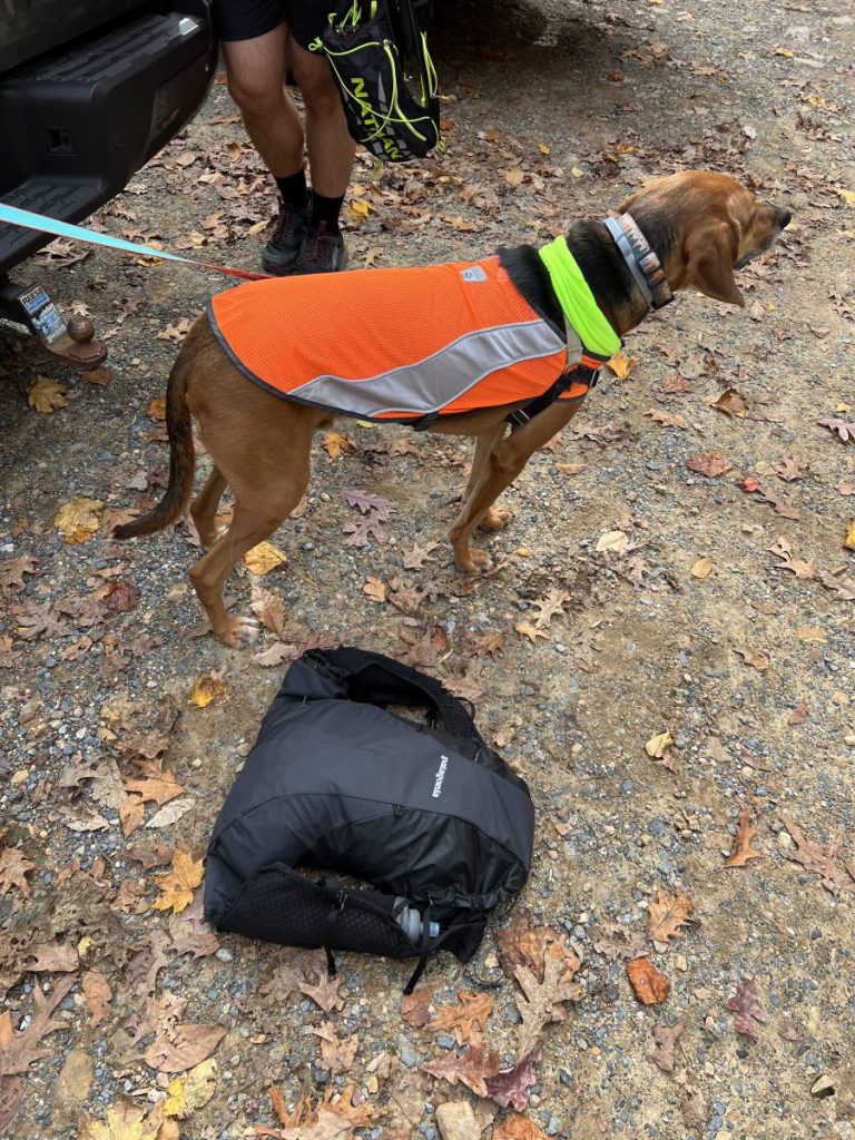 Patagonia hot sale dog vest