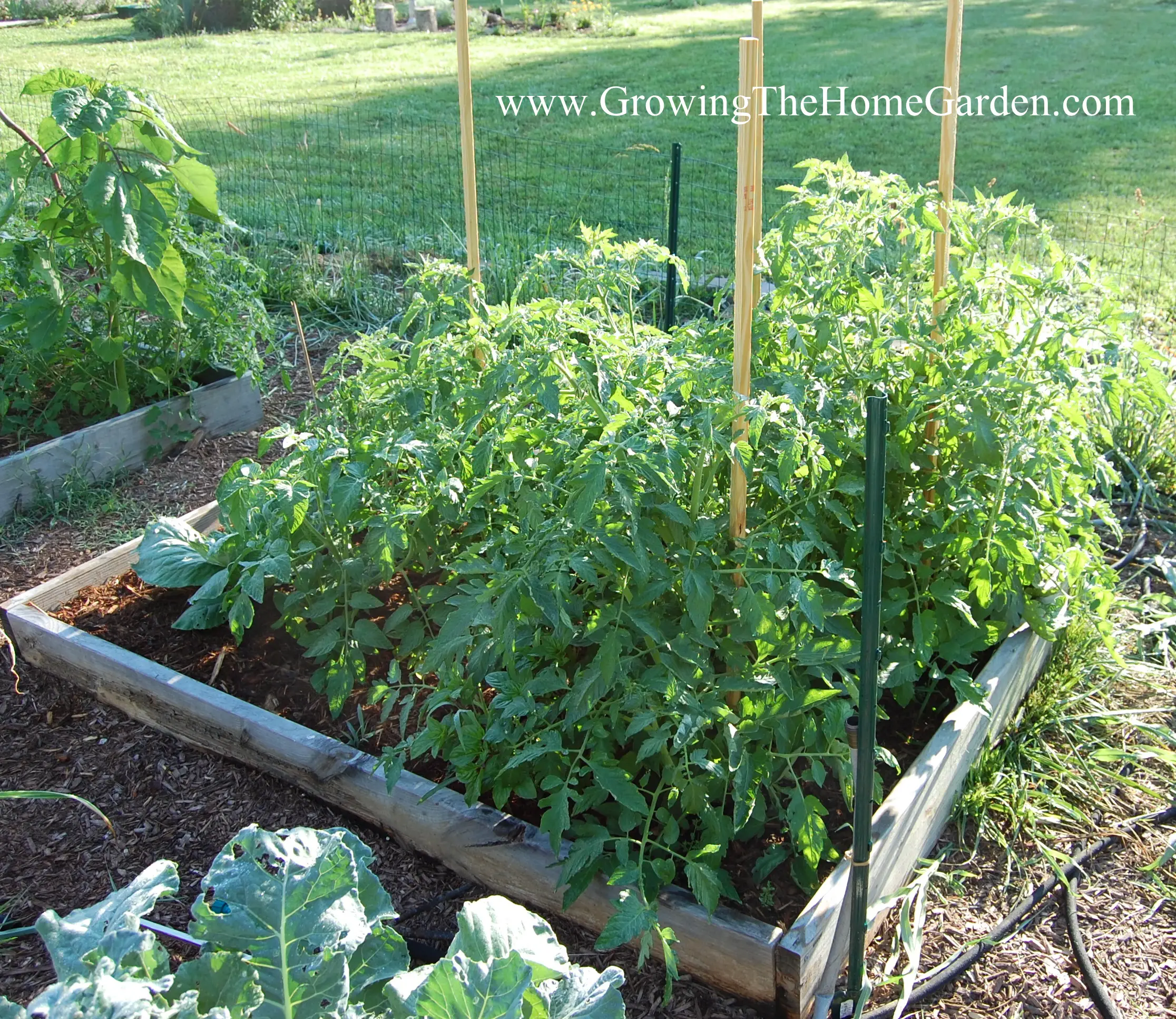 Raised Bed Vegetable Garden Layout, How To Organize A Raised Vegetable Garden