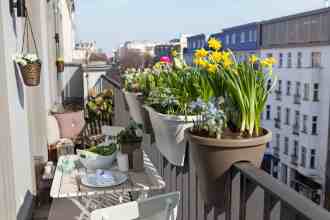 balcony garden