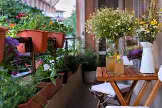 balcony garden