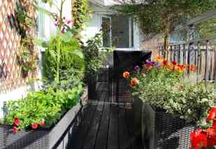 balcony garden