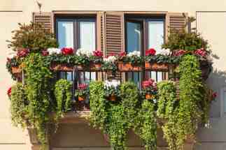 balcony garden