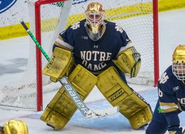 Notre Dame Hockey Big Ten Tournament Preview - Drive4Five