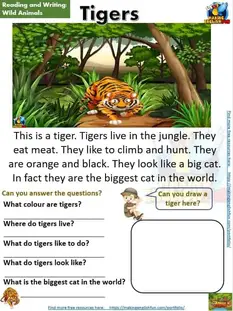Miller doesn't want the tigers to vanish.these majestic beasts are disappearing at an alarming rate.dr. Zo4 Nfncwknahm