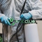 MSM Turf | How To Use | Pestclue