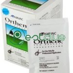 What Is A Tipple Mosquito? Fact, Identification & Behavior ...